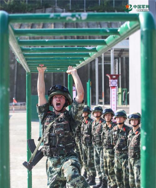 杜宾犬飞跃障碍训练方法（以宠物为主，让你的杜宾犬成为运动达人）
