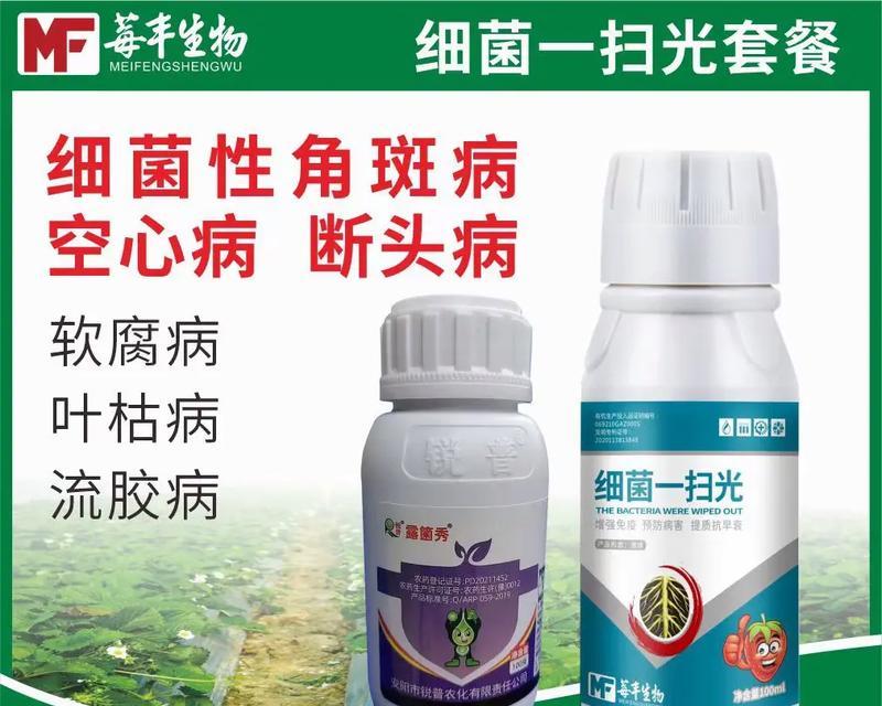 如何饲养健康活泼的斑角吊（斑角吊的饲养技巧及注意事项）