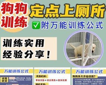 狗狗社会训练指南（教你如何训练狗狗与其他犬只相处，提升社交技能）