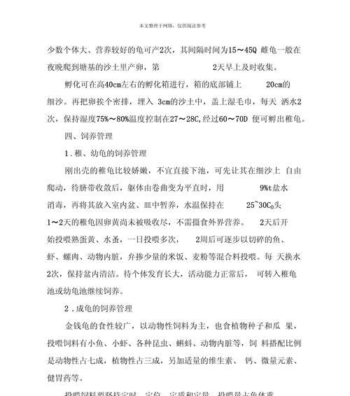 金钱龟的饲养指南（详细介绍如何养金钱龟，让它们健康快乐成长）