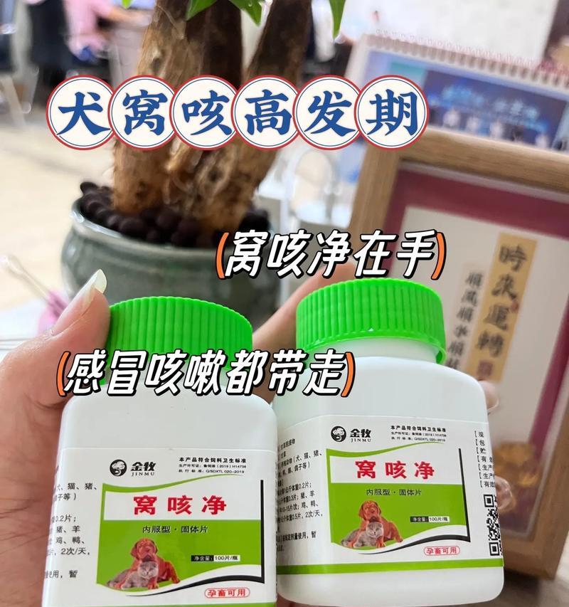 狗狗生病有方法——家中常备的药物（保障宠物健康，做好常备药物是关键）