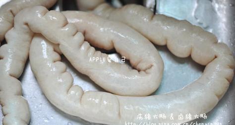 如何正确治疗狗狗翻肠子（教你有效应对狗狗翻肠子的方法）