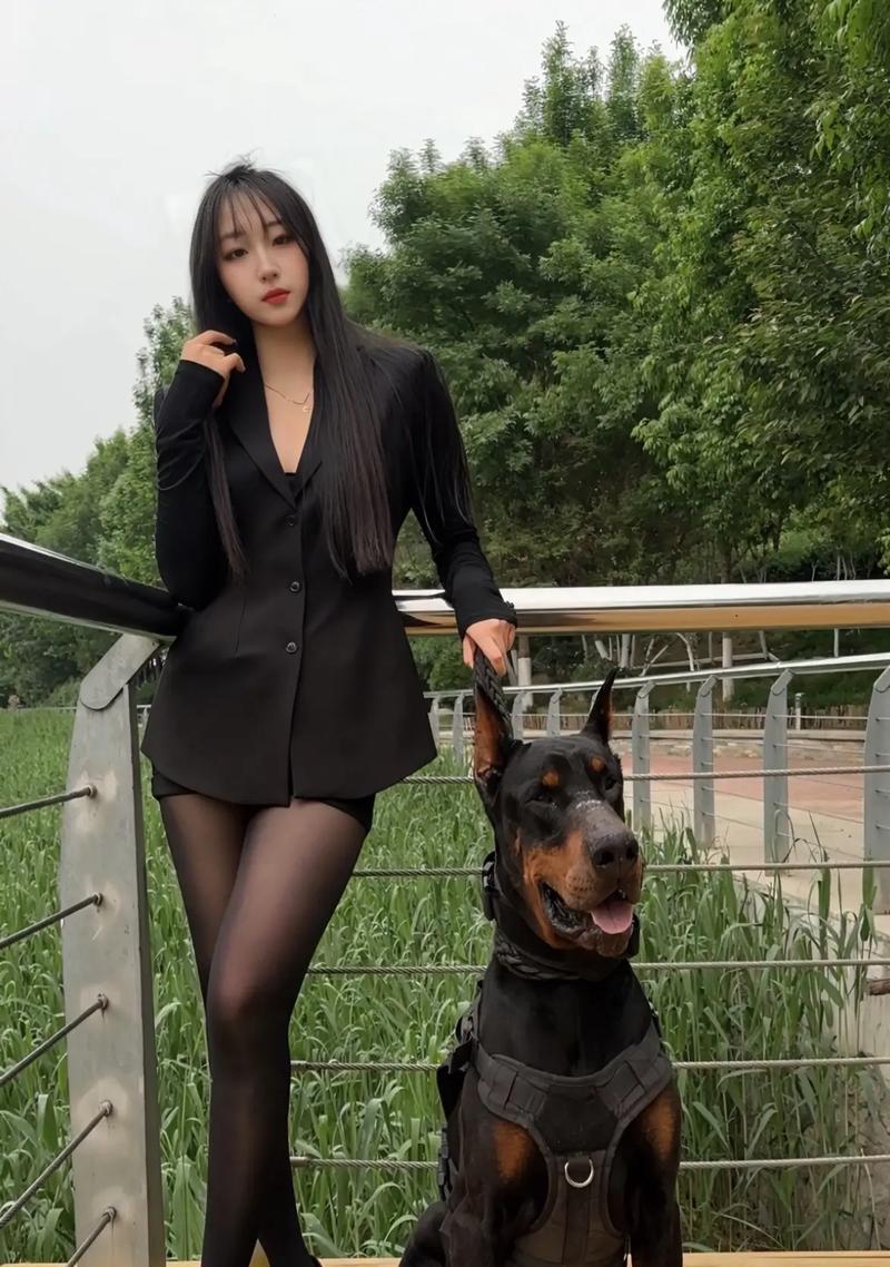 选择适合保护主人的大型犬，为你带来安全感（了解不同品种的特点，选择最适合你的守护伙伴）