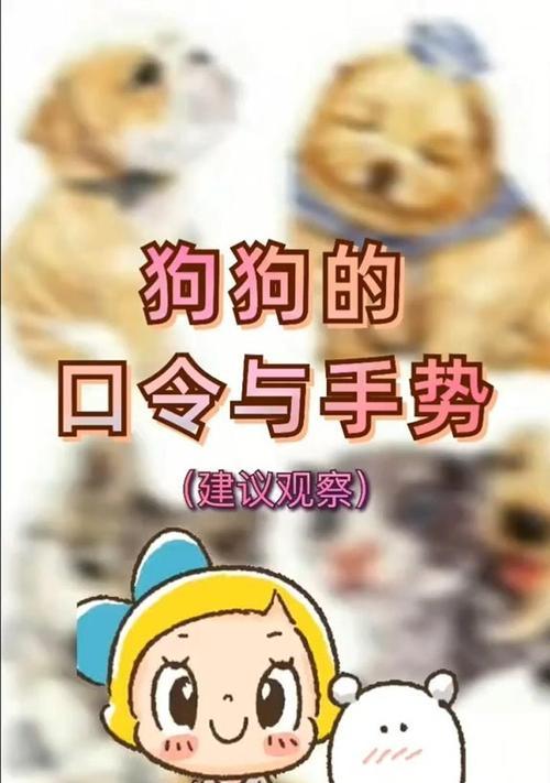 训练狗狗的六个实用技巧（通过正确的训练方法，教会狗狗成为忠诚、听话的伙伴）