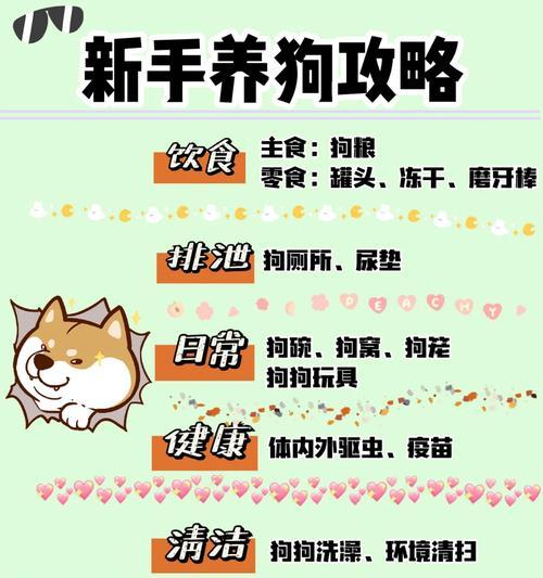 新手养狗必备用品清单，打造完美宠物生活（9件必备用品为你解锁养狗新手秘籍）