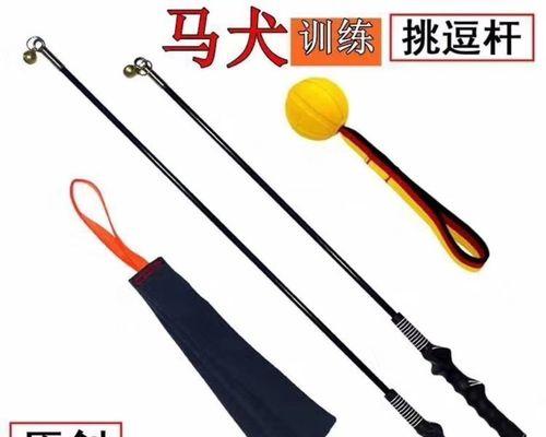 德国牧羊犬训练方法解析（如何正确训练你的德牧？）