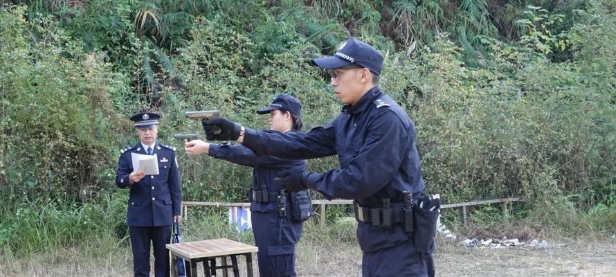 灵缇撵兔子训练指南（初级和实战阶段的训练技巧，成功训练关键）