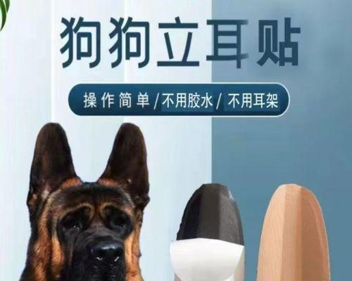 德国牧羊犬和杜宾犬（了解两大犬种的特点和魅力，探讨为何德牧备受追捧）