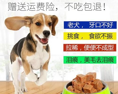 自制狗粮（健康狗粮制作指南，宠物毛发护理秘籍）