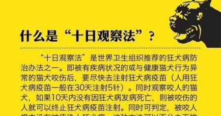 犬疫苗（了解犬疫苗的注射流程和注意事项，让你的宠物健康快乐）