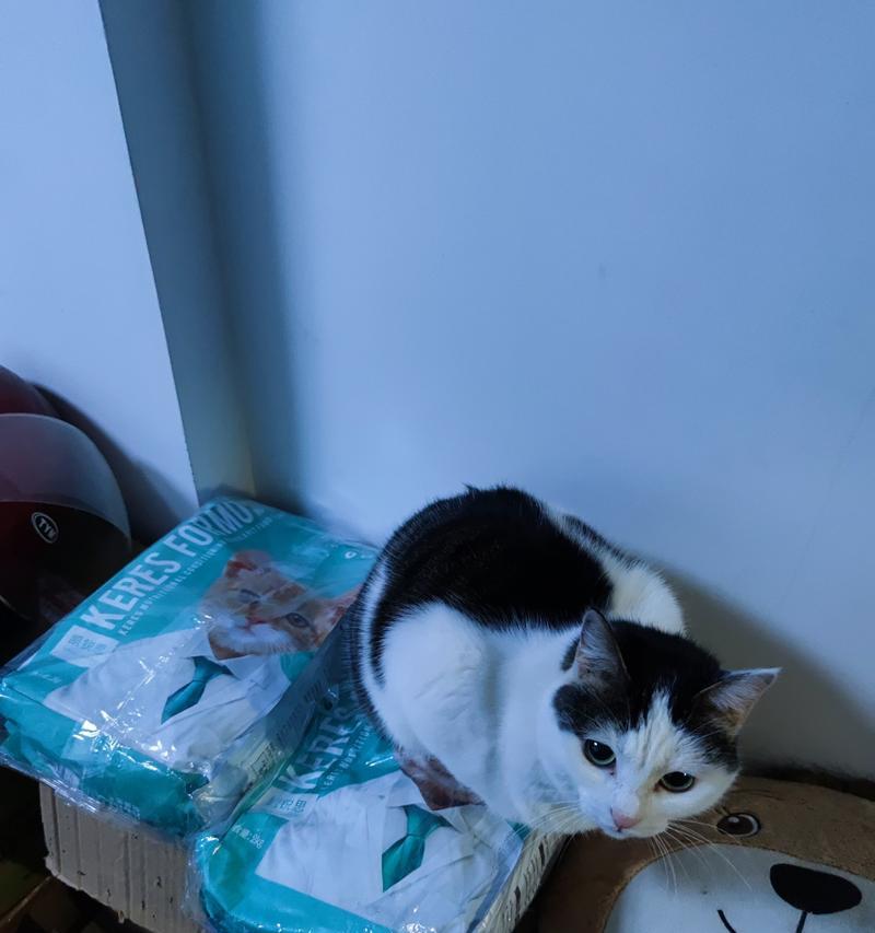 小猫为什么不吃猫罐头？（探究小猫对猫罐头的偏好与原因）