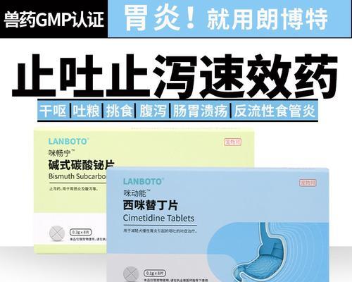 狗狗光吐水需要什么药物治疗？（探索狗狗呕吐问题的解决方案，）