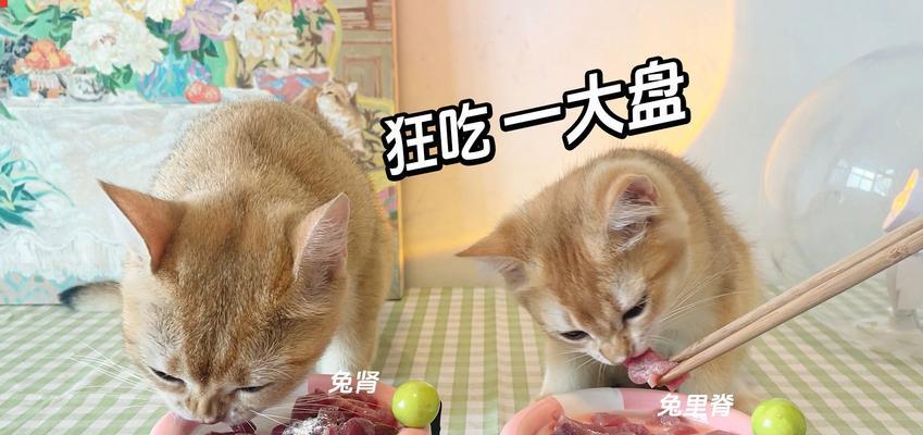 小猫的饮食需求——1个月的小猫喝什么？（探究1个月大小猫的饮食需要及喂养方法）