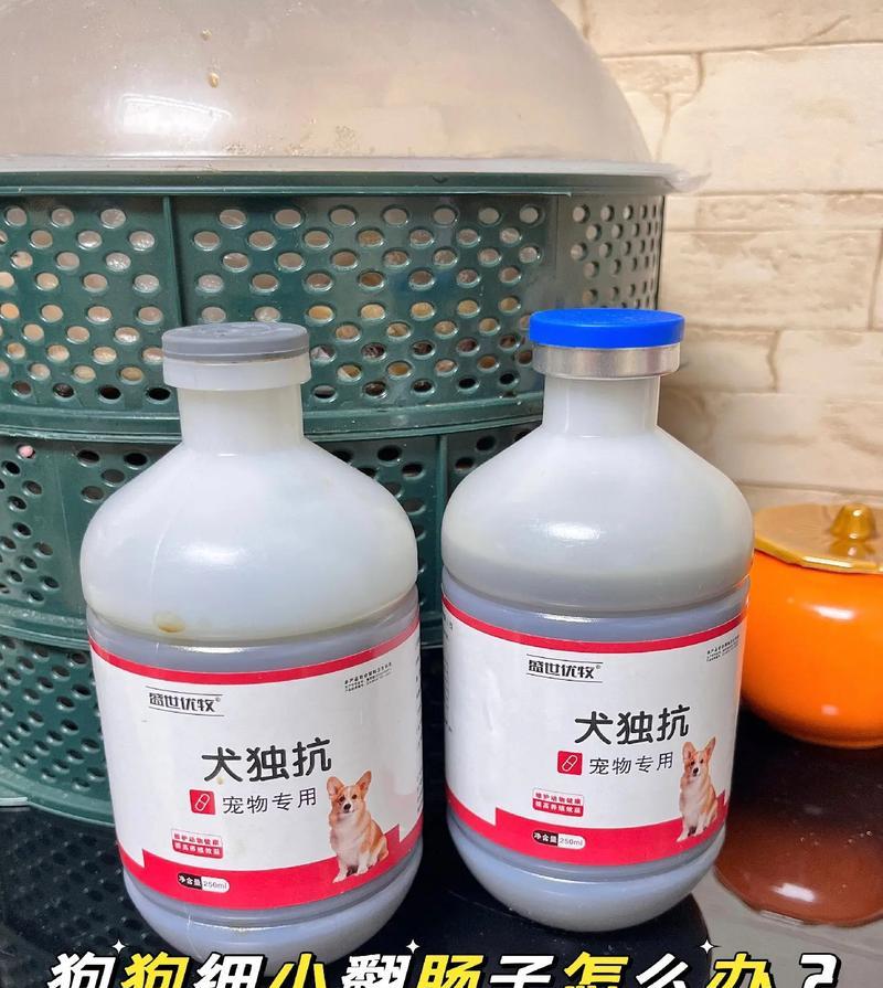 小狗狗的健康（了解细小狗狗可用药物，保护它们的健康）