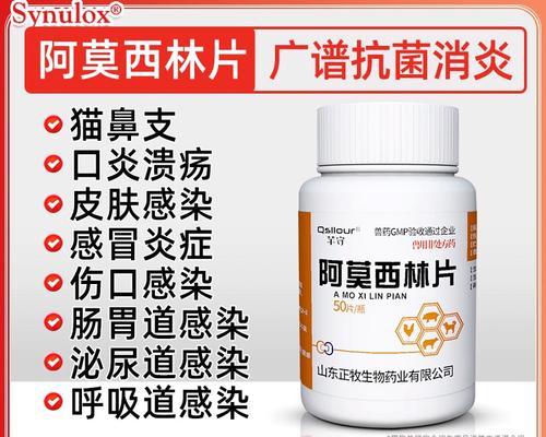 狗狗流鼻涕严重怎么办？如何选择合适药物治疗？（快速缓解狗狗鼻涕过多的方法和药物推荐）