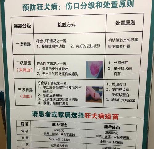 狗狗预防针的重要性