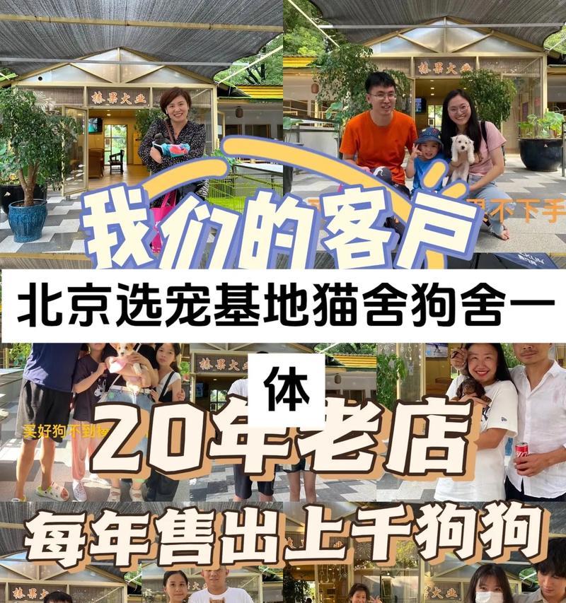 探寻武汉的顶尖犬舍（揭秘武汉犬舍业的兴起与发展）