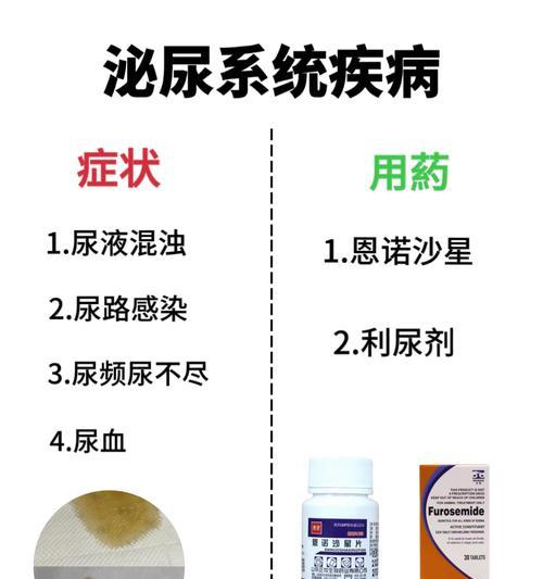 狗狗子宫积脓的治疗及药物选择（选择合适的药物是关键，一起来了解吧！）