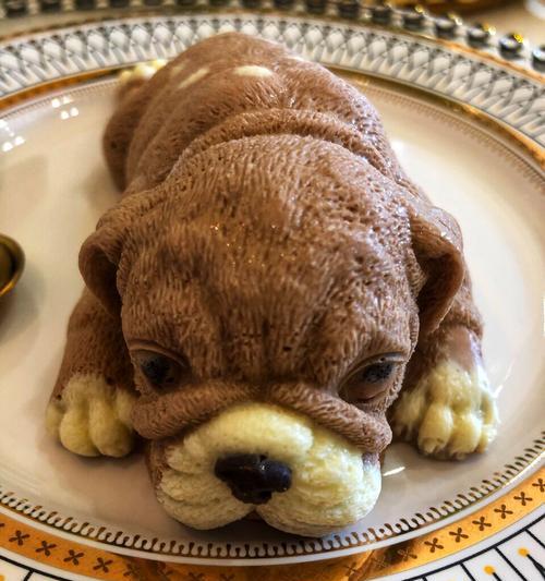 斗牛犬的饮食需求与养护（以斗牛犬为主题，探究其饮食需求与养护方法）
