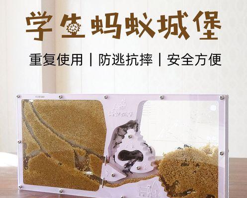 宠物蚂蚁为什么不产蛋？（探索宠物蚂蚁无产卵原因，揭秘其独特生殖方式）