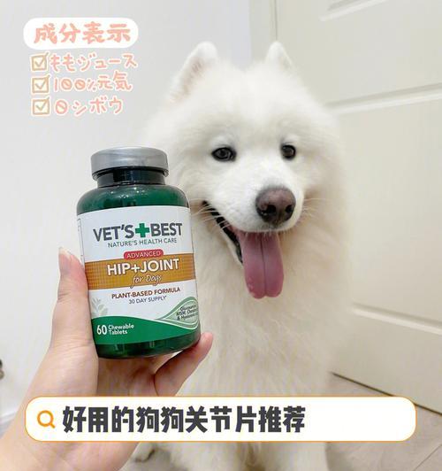 运动对狗的益处与风险（运动让你的狗更健康、但要谨慎选择运动方式）