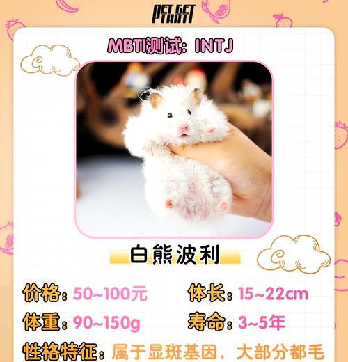 白熊金丝熊与绿豆芽的奇妙组合（发现健康美食的秘密，美味与营养的完美结合）