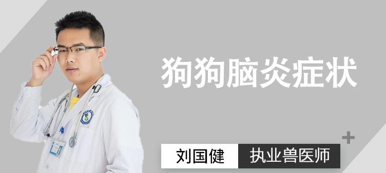犬脑炎疫苗（了解犬脑炎疫苗的重要性及最佳选择）