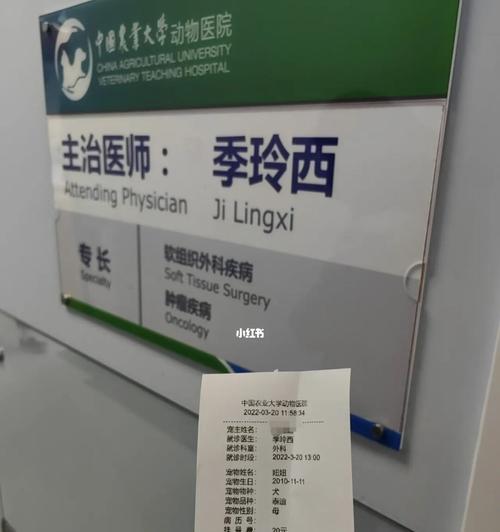 泰迪肾衰好了能吃什么？（养肾护犬，健康饮食不可忽视！）