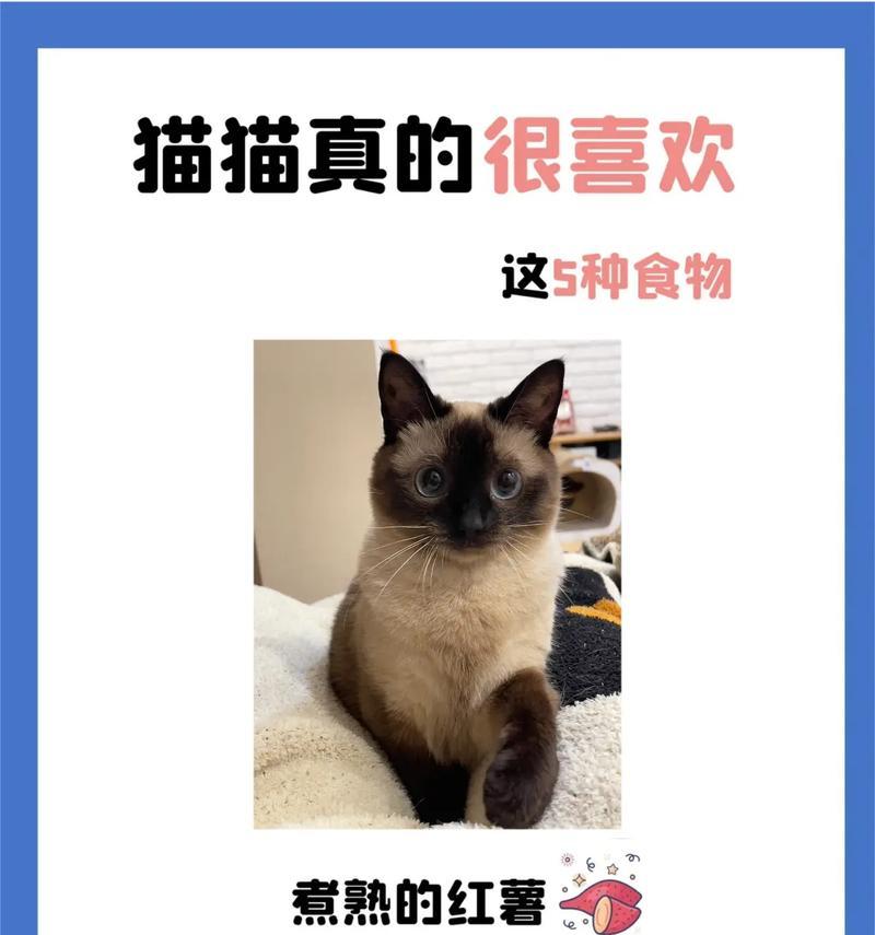 小猫的饮食禁忌（小猫不能吃的食物及其危害）