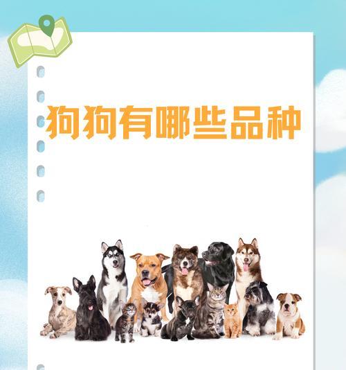 让德牧毛色变红的绝佳方式（喂养关键）