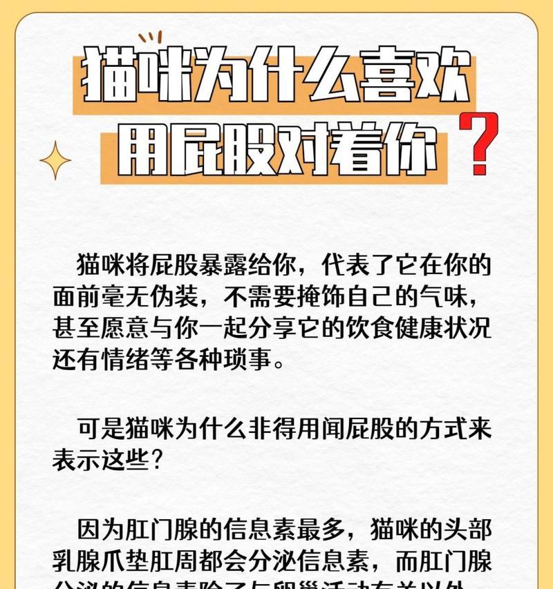 猫为什么老是撅屁股？（探索猫咪撅屁股的原因及行为意义）