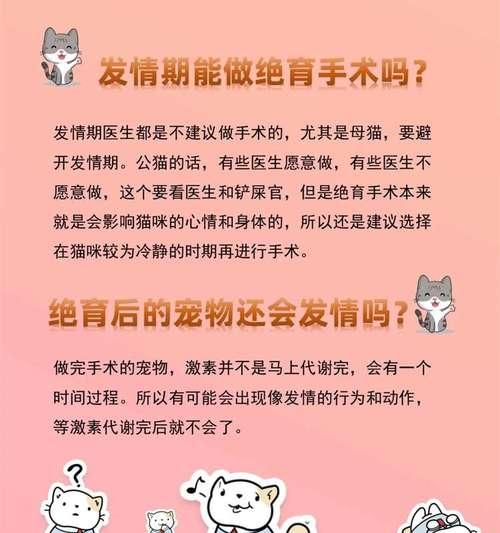 公猫绝育前的准备工作（为你的公猫绝育做好准备，给它一个健康的未来）