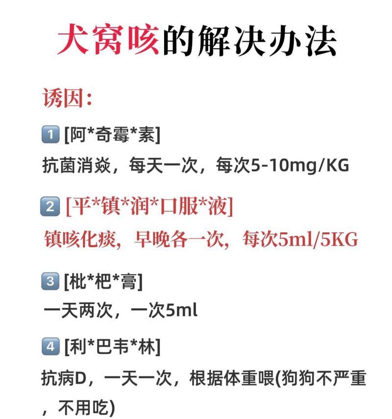 狗狗经常咳嗽的原因及治疗方法（狗狗咳嗽、原因、治疗方法）