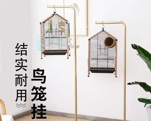 选择合适的笼子，让鸟儿有一个舒适的家园（探讨养鸟中笼子的选择与重要性）