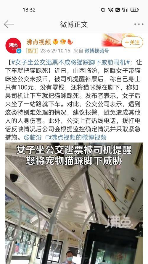 猫为什么不喜欢被拴着？（探讨猫不喜欢拴绳的原因及其对猫的影响）