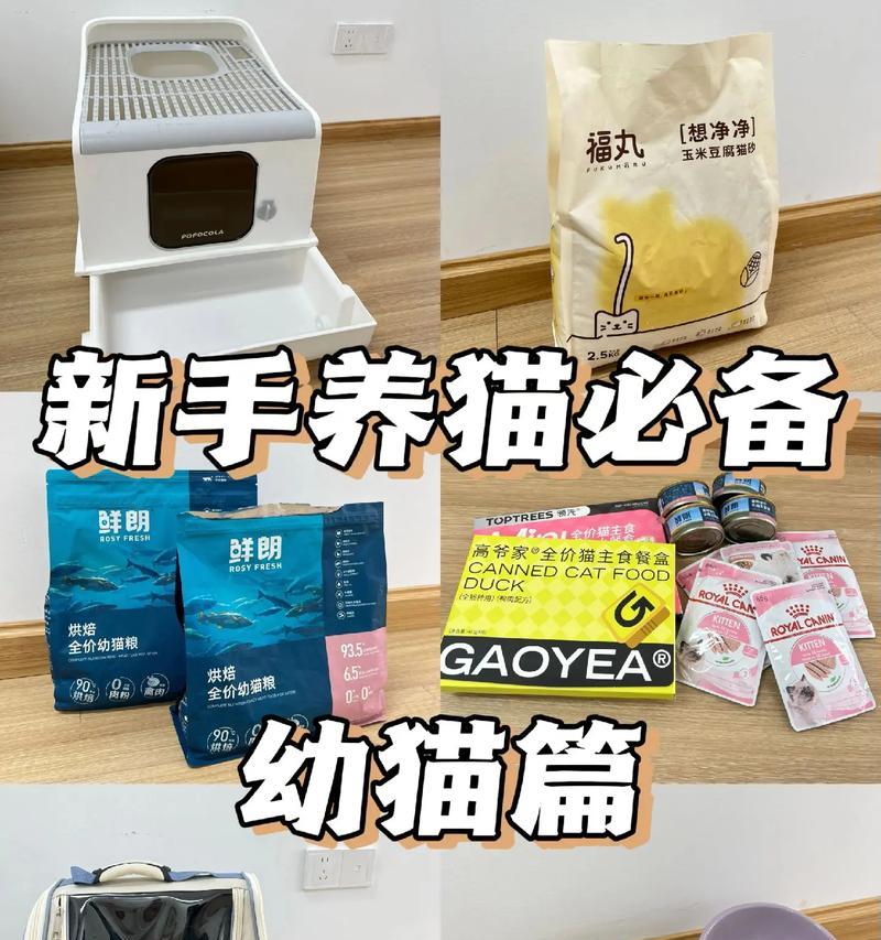 新手养猫必备用品指南（为你的新家庭成员准备一切必需品）