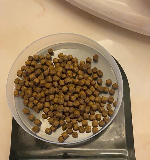 两个月大的博美需要服用的药物有哪些？（了解博美宝宝的健康需求，合理使用药物）