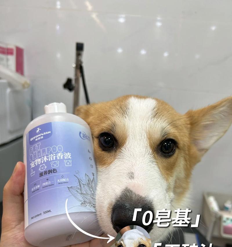狗子洗澡（狗子洗澡的注意事项和技巧）
