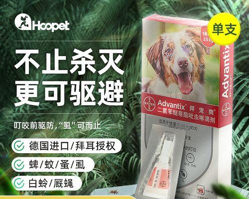 狗牙龈烂了怎么办？选择合适的药物治疗很关键（了解狗牙龈烂了的症状和原因，选择正确的治疗方法关键）