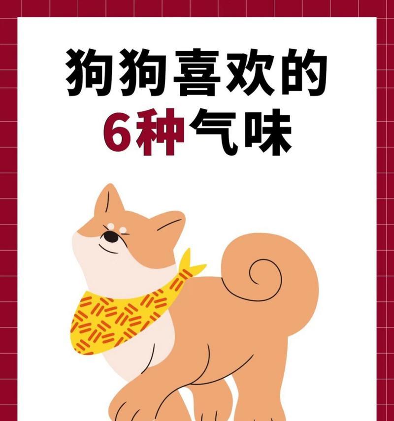 狗喜欢什么味道的食物？（揭秘狗狗的食欲）
