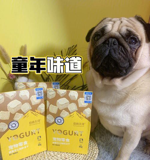 狗喝蜂蜜的功效——探索其益处和注意事项（了解狗喝蜂蜜的好处以及正确使用方法）