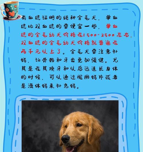 金毛不会叫的原因（揭开金毛安静的秘密，为什么它们不会叫？）