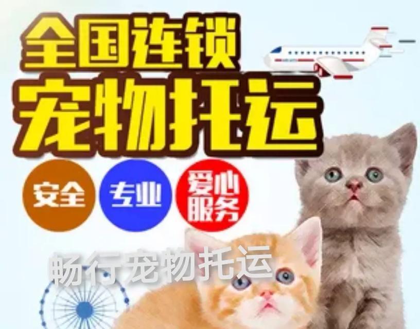 宠物托运指南（了解宠物托运流程，保障宠物的安全和舒适）