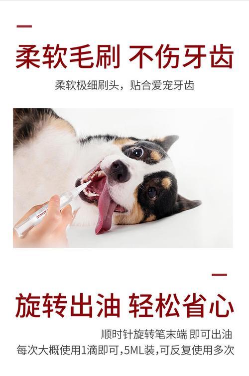 用什么钳子可以有效清除狗狗的牙结石？（选择适合狗狗的牙结石钳子是关键）