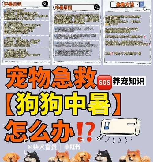 狗狗中暑急救（了解中暑症状，掌握正确的治疗方法）