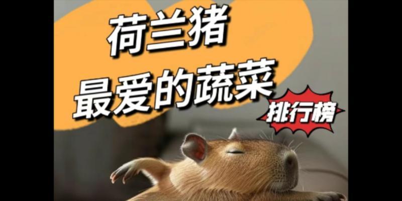 荷兰猪的理想食草之旅（探索荷兰猪喜爱的草种及营养需求）