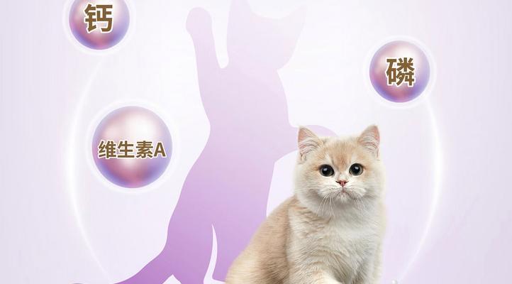 幼猫咪饮食指南（为你的小猫提供健康均衡的饮食）