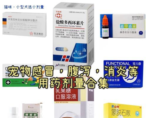 狗狗拉稀怎么办？药物治疗的关键！（寻找适合治疗狗狗拉稀的药物和方法）