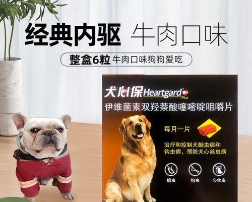 金毛犬驱虫药（选对驱虫药，给金毛犬全面的保护）