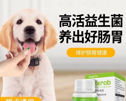 治疗狗狗胃发炎的药物及方法（快速缓解狗狗胃发炎的药物选择与使用技巧）